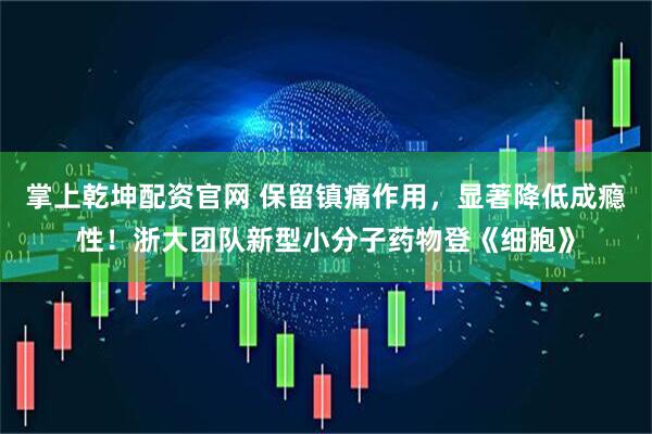 掌上乾坤配资官网 保留镇痛作用，显著降低成瘾性！浙大团队新型小分子药物登《细胞》