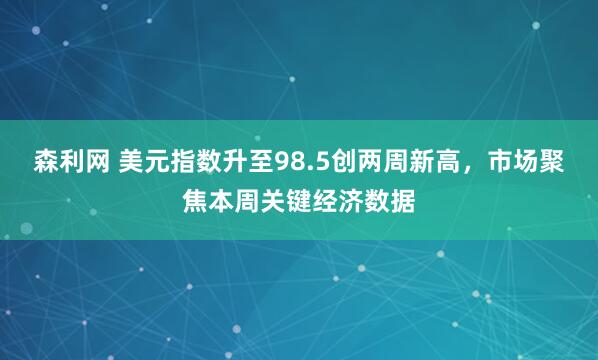 森利网 美元指数升至98.5创两周新高，市场聚焦本周关键经济数据