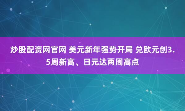 炒股配资网官网 美元新年强势开局 兑欧元创3.5周新高、日元达两周高点