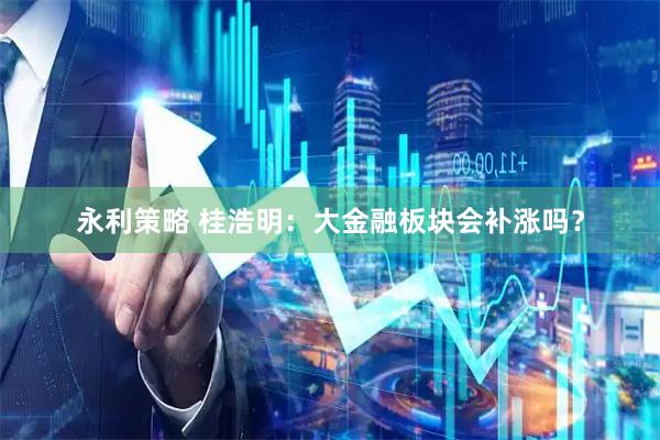 永利策略 桂浩明：大金融板块会补涨吗？