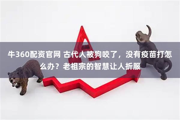 牛360配资官网 古代人被狗咬了，没有疫苗打怎么办？老祖宗的智慧让人折服