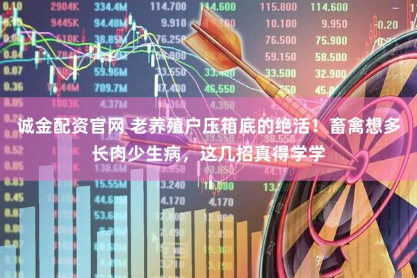 诚金配资官网 老养殖户压箱底的绝活！畜禽想多长肉少生病，这几招真得学学